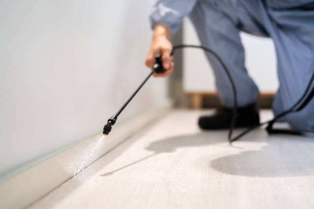 Licensed Pest Control service in Oroville, CA - Show Me Pest Control